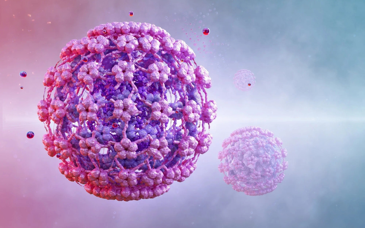 Unveiling the latest frontiers in human papillomavirus